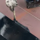 ビジョン